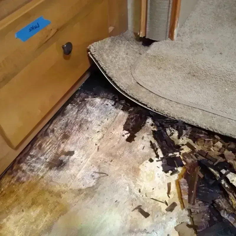 Wood Floor Water Damage in Sunbury, OH